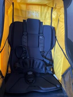 Thule chariot sport 1