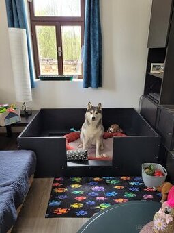 Porodní box, bedna 150x100