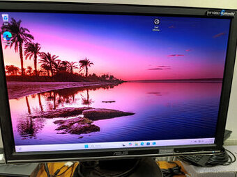 asus monitor vw195d - 1