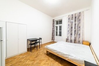 Prostorný pokoj s trvalým pobytem — Praha 5