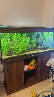 Akvárium Juwel Rio 240l