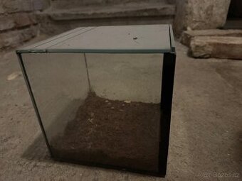 Terarium pro tarantuly
