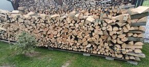 Palivové dřevo buk