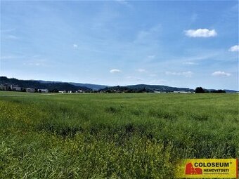 Letovice - zemědělská půda 7 225 m2 - pozemek - 1