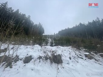 Prodej, les, 22863 m2, Bozkov - 1