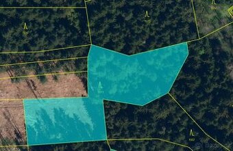 Lesní pozemek 5Kč/m2 k.ú. Velký Ježov 3.724m2