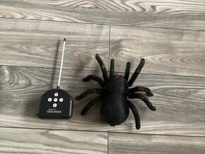 Děsivá tarantule