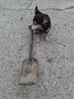 Parni lokomotiva- lopata na přikladani uhli