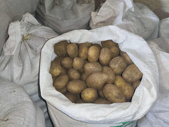 Prodám konzumní brambory na uskladnění