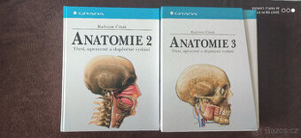 ANATOMIE 2,3 DÍL -ČIHÁK -NOVÉ