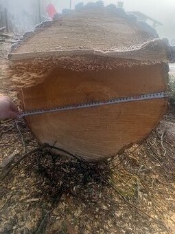 Prodám kmen lípy a borovice