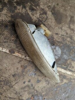 Volkswagen New Beetle Blinkr, blikač, směrovka levý