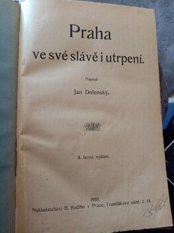 Praha ve své slávě i utrpení (Jan Dolenský)