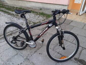 Kolo Arcor 24"