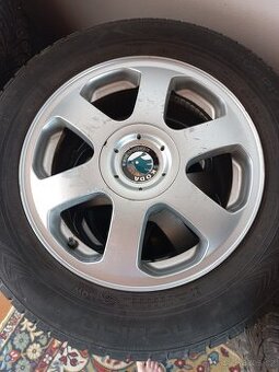 Alu 5×100 r15