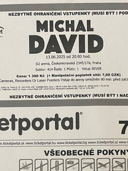 Michal David 13.6.2025