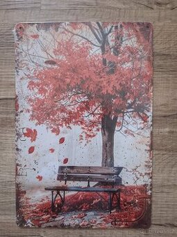 Plechová cedule 20x30cm