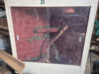 Terarium