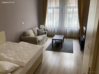 Pronájem bytu 1+1 40 m² Máchova, Praha - Vinohrady