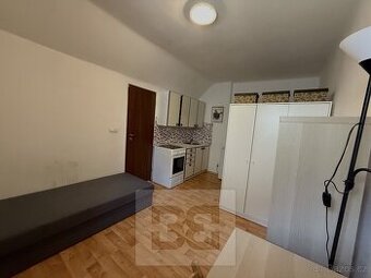 Pronájem bytu 1+kk 21 m², Praha - Řepy, ev.č. N08649
