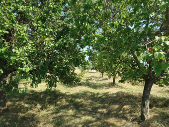 Pozemek Velké Pavlovice