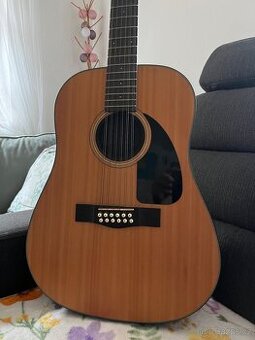 Fender CD 100