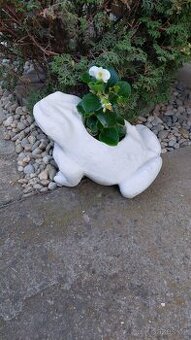 Betonova žaba květináč