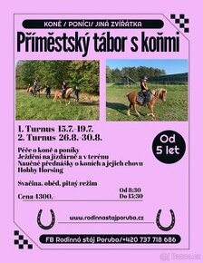 Příměstský tábor s koníky v Ostravě