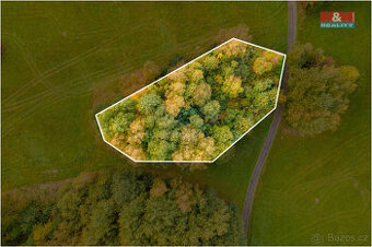 Prodej ostatní, 1966 m², Luby