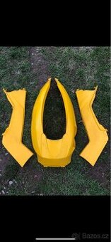 Plasty Can am Renegade - 1
