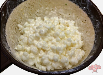 Tibetská Houba-Jedinečné léčivé účinky-Levně