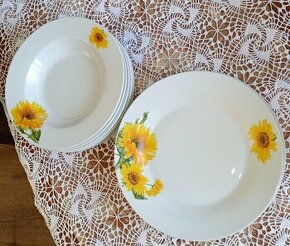 Talíře kuchyňské dvanáct kusů - 1