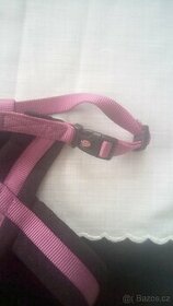 kšíry pro pejska - 1