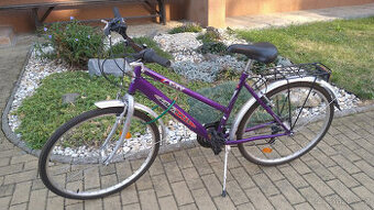 Divci, damske mestske kolo Favorit City