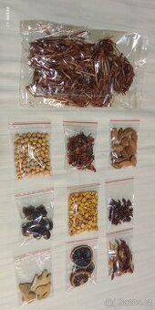 Sada 10 různých druhů sušených plodů pro dom. výrobu