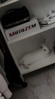 Daruji do dobrých rukou