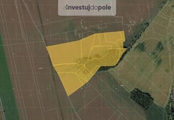 Prodej pole v k.ú. Moravany nad Loučnou a Platěnice - 1