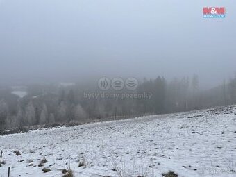 Prodej, les, 8638 m2, Železný Brod
