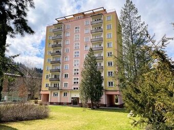 Prodej bytu 3+1 s balkonem ve Vsetíně