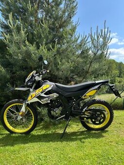 UM DSR EX 125 - 1