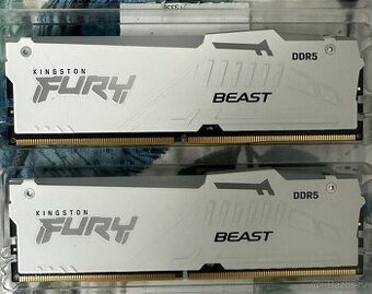 Kingston fury beast white EXPO 32GB