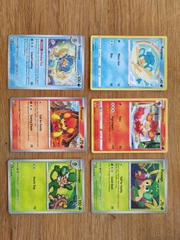 Pokemon karty