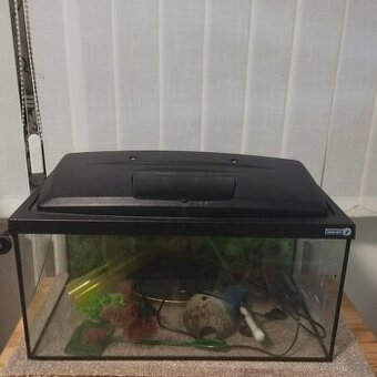 Prodam akvarium