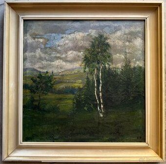 Obraz Krajina s břízami