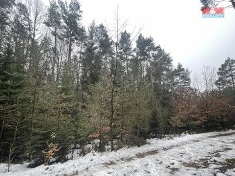 Prodej, les, 12219 m2, Smrčí u Semil, Záhoří