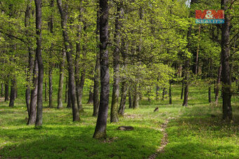 Prodej lesa, 2146 m², Nýdek - 1