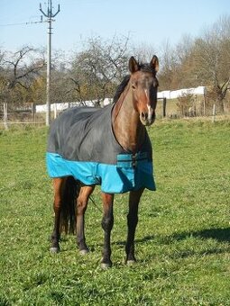 Výběhová deka Horseware - 1