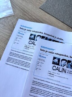 O2 aréna Calin 2x vstupenka