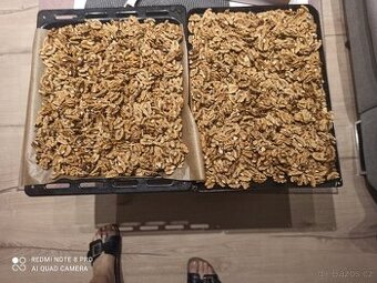 Vlašské ořechy loupane