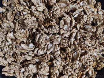 Vlašské ořechy loupané letošní sklizeň